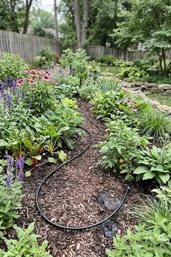 Drip irrigation in a garden bed