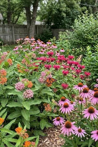 Pollinator friendly flowers